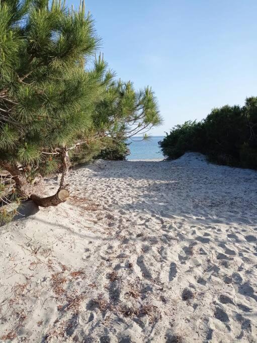 Savoia 32 Holiday home Calasetta